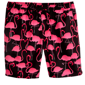 LOUSY LIVIN BEACHSHORTS 17'' FLAMINGO