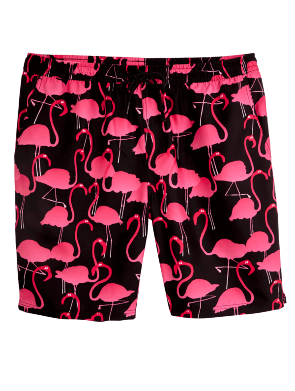 LOUSY LIVIN BEACHSHORTS 17&#8221; FLAMINGO